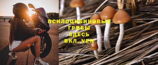 ешки Алзамай